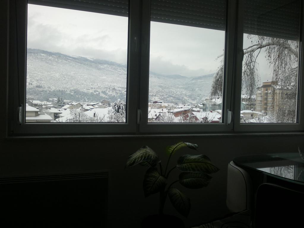 Apartment Goran And Milena Ohrid Ruang foto